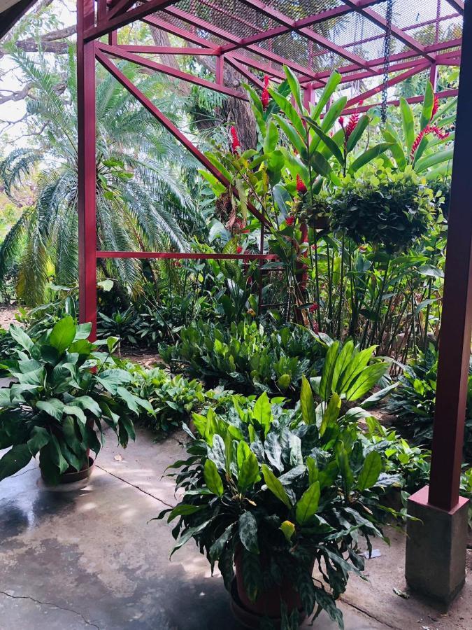 Hotel Del Aserradero ลิเบเรีย ภายนอก รูปภาพ